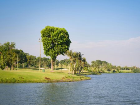 Master International des Professions de santé